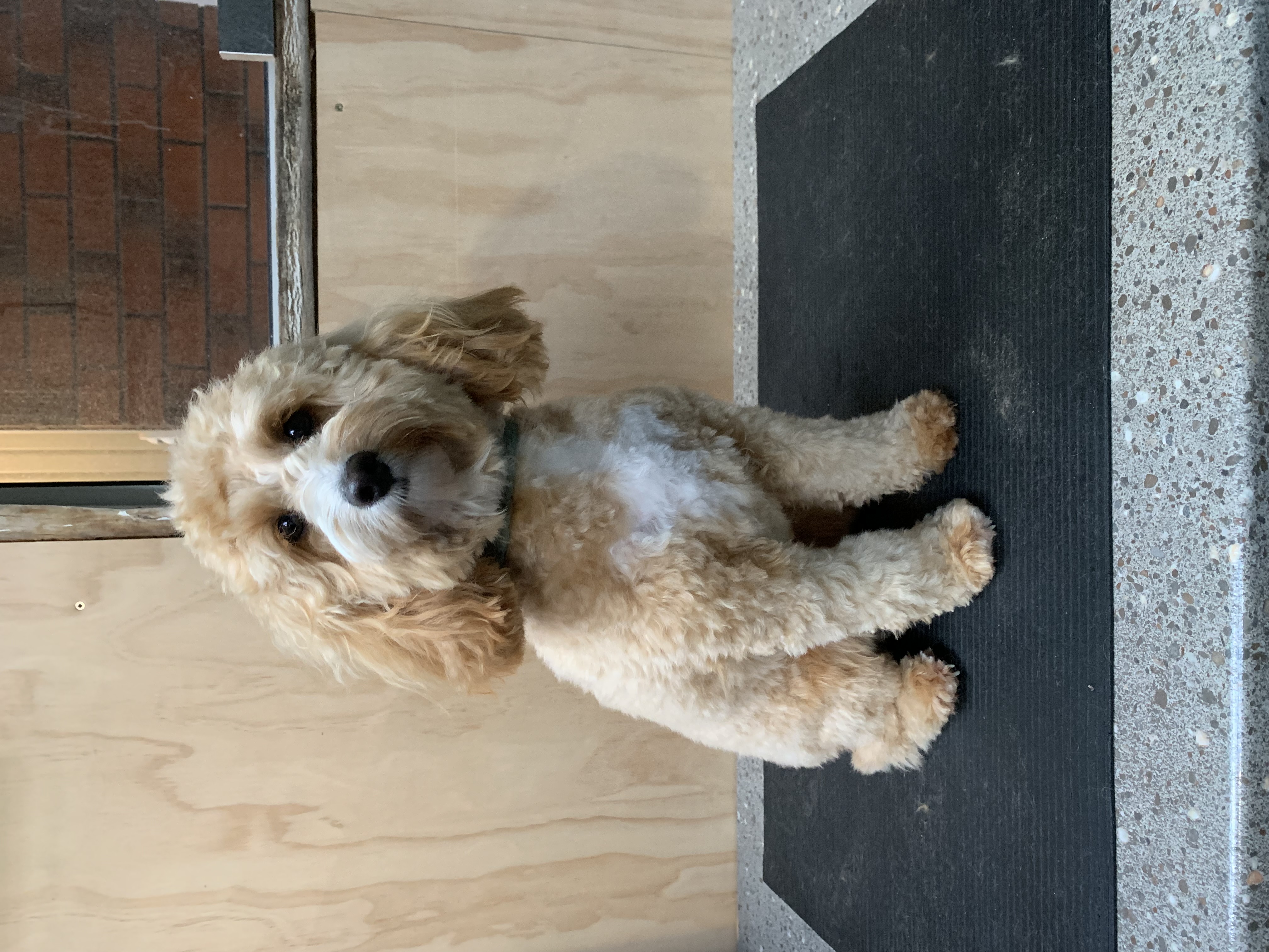 Grooming transformation